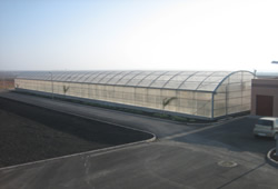 Secado solar Fuerteventura